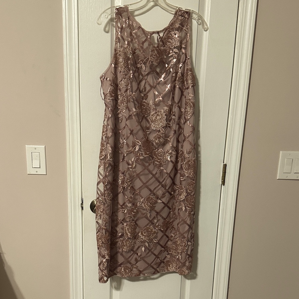 Adrianna Papell Blush Floral Midi Dress